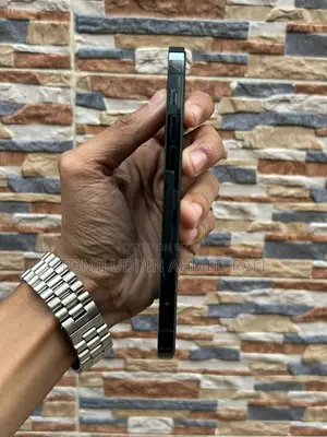 Apple iPhone 12 Pro (Used)