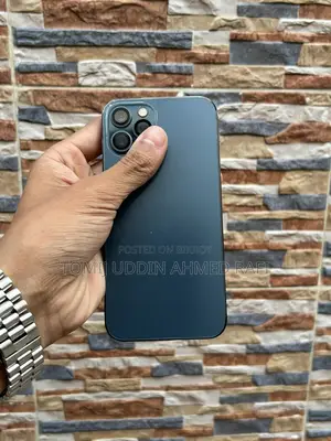 Apple iPhone 12 Pro (Used)