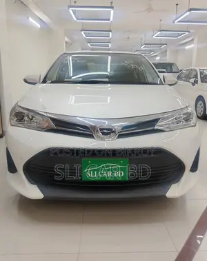 Toyota Axio Non Hybrid 2020