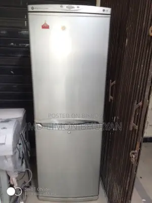 380 Liter LG Fridge