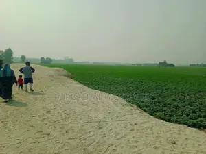 বীরতারা সিটি,সুনিশ্চিত আবাসন প্রকল্প!