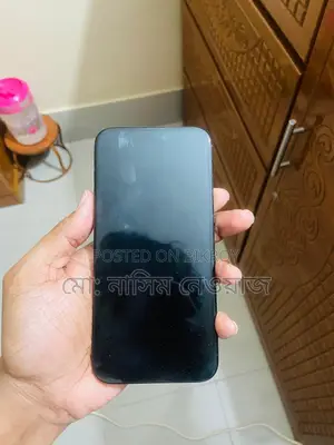Apple iPhone 15 Pro Max (Used)