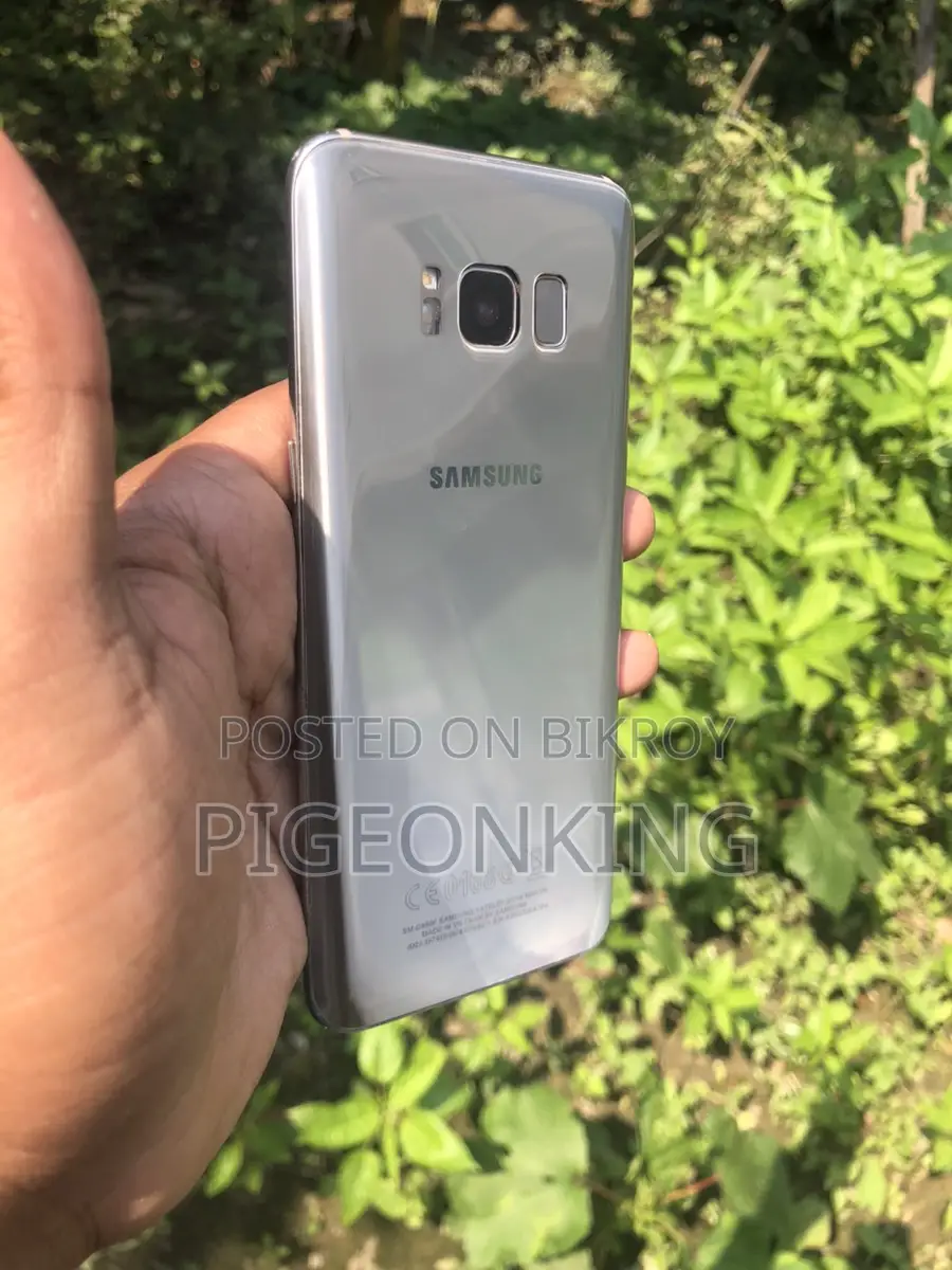 Samsung Galaxy S8 (Used)