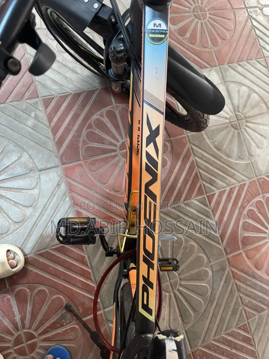 Bicycle Sale