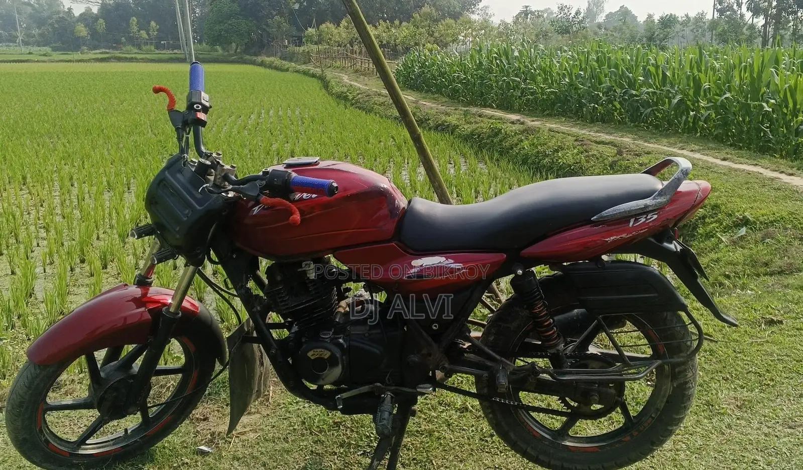 Bajaj Discover 135 2019 Red