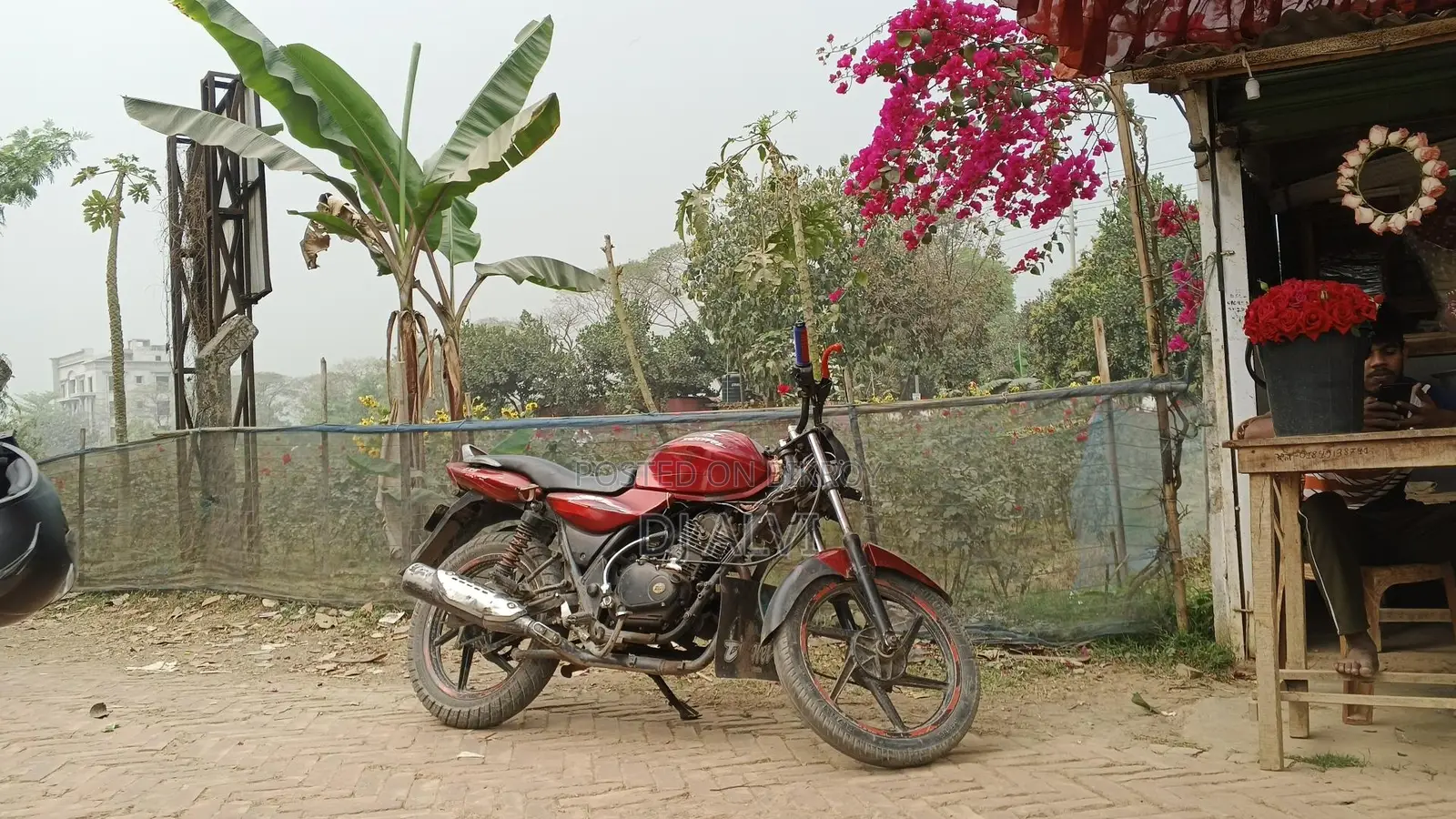 Bajaj Discover 135 2019 Red