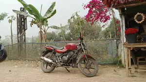 Bajaj Discover 135 2019 Red