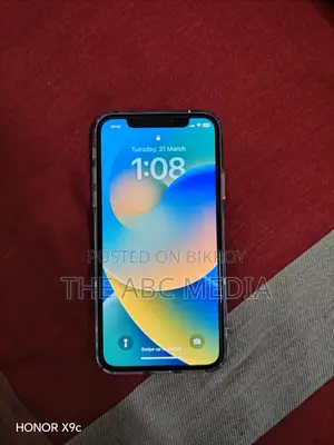 Apple iPhone X 64 GB storage (Used)