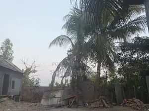 সারে দশ সতাংশ জমি বিক্রয় হবে