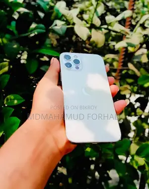 Apple iPhone 12 Pro (Used)