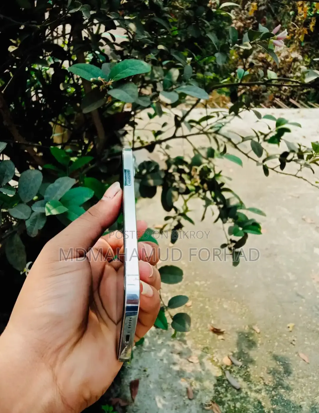 Apple iPhone 12 Pro (Used)