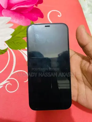 Apple iPhone 12 (Used)