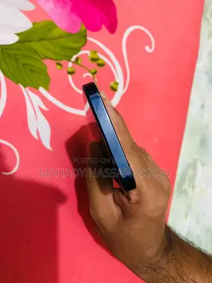 Apple iPhone 12 (Used)