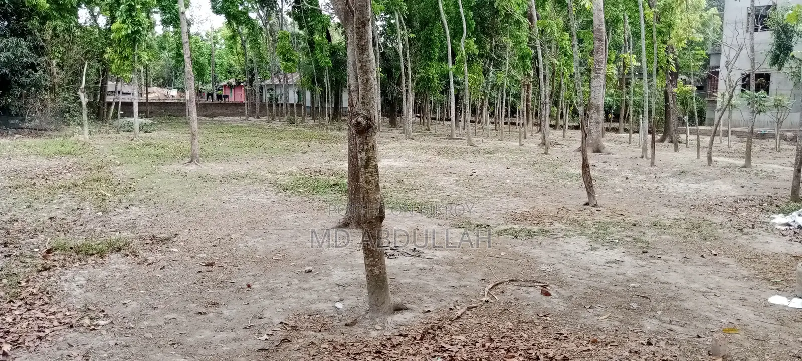 Land for Sale