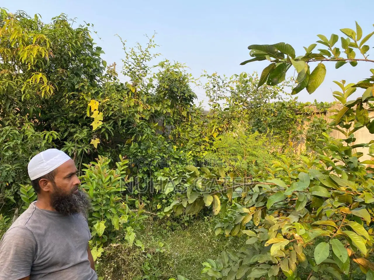 8 Katha Private Land for Sale