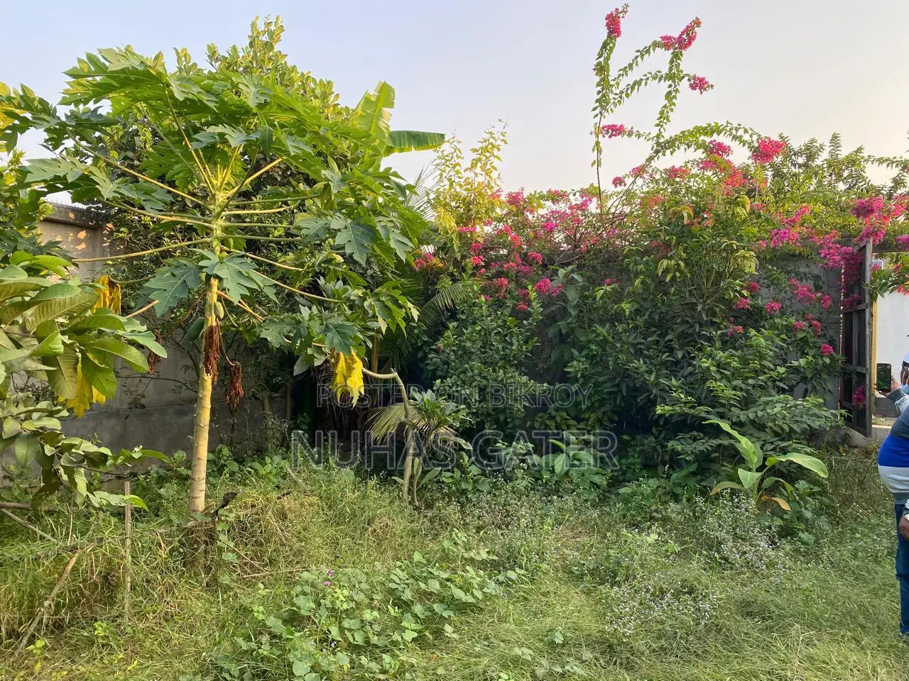 8 Katha Private Land for Sale