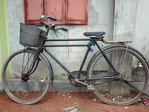 Phonix Cycle made in Chaina