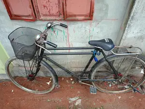 Phonix Cycle made in Chaina