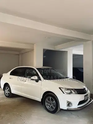 Toyota Axio x 2015
