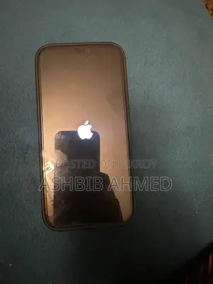 Apple iPhone 12 Pro Max (Used)