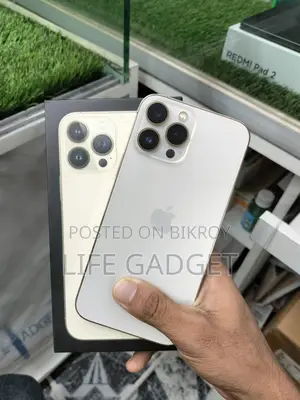 Apple iPhone 13 Pro Max (Used)