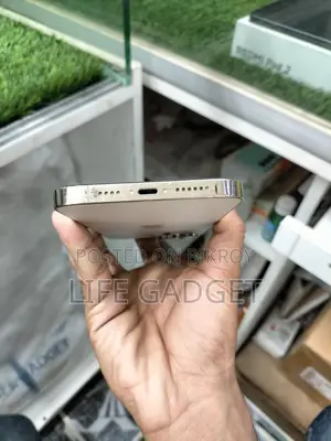 Apple iPhone 13 Pro Max (Used)