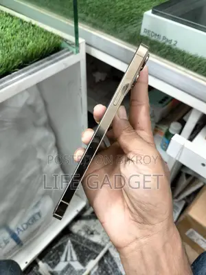 Apple iPhone 13 Pro Max (Used)