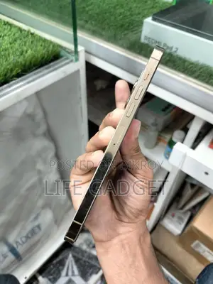 Apple iPhone 13 Pro Max (Used)