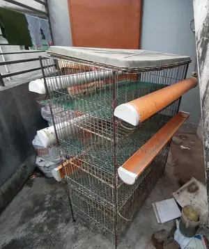 ১টি খাঁচা বিক্রি হবে