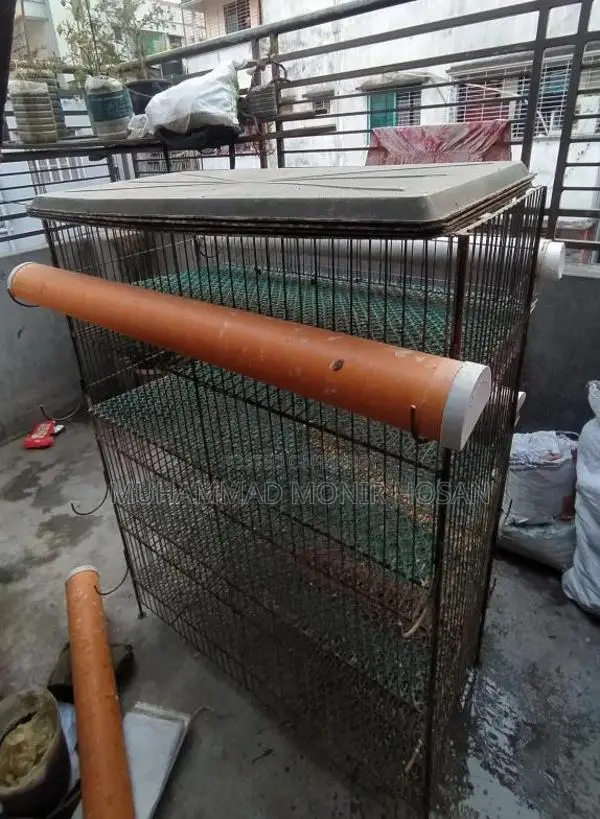 ১টি খাঁচা বিক্রি হবে
