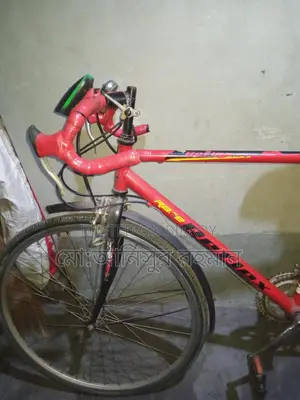 Bicycle for sale