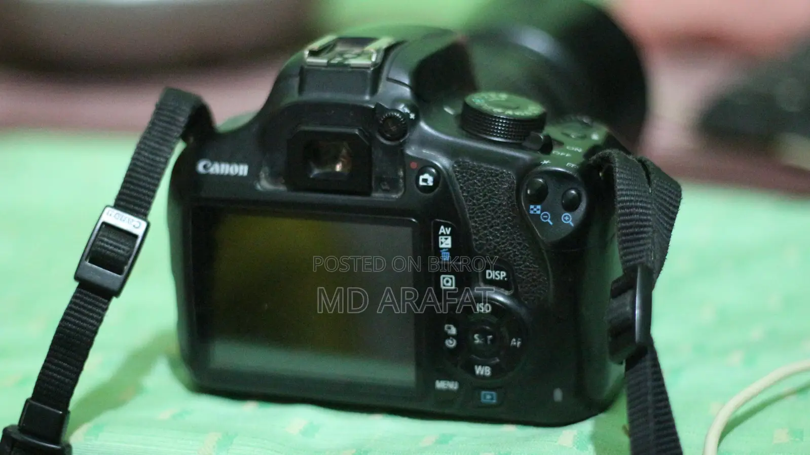 Canon 1200D/Lens 55/250 Zoom