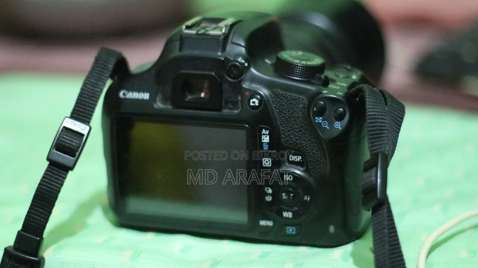 Canon 1200D/Lens 55/250 Zoom