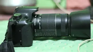Canon 1200D/Lens 55/250 Zoom