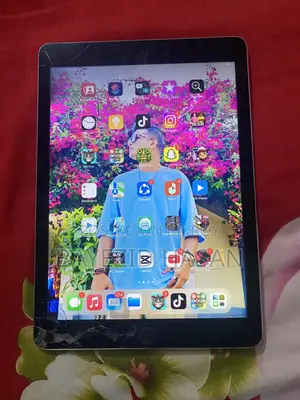 Apple ipad air 2