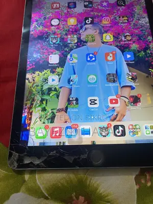 Apple ipad air 2