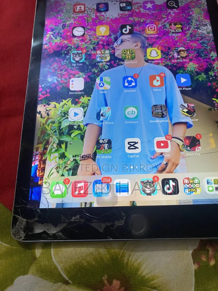 Apple ipad air 2