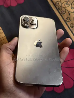 Apple iPhone 12 Pro Max (Used)