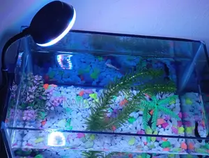 RGB Clip Light