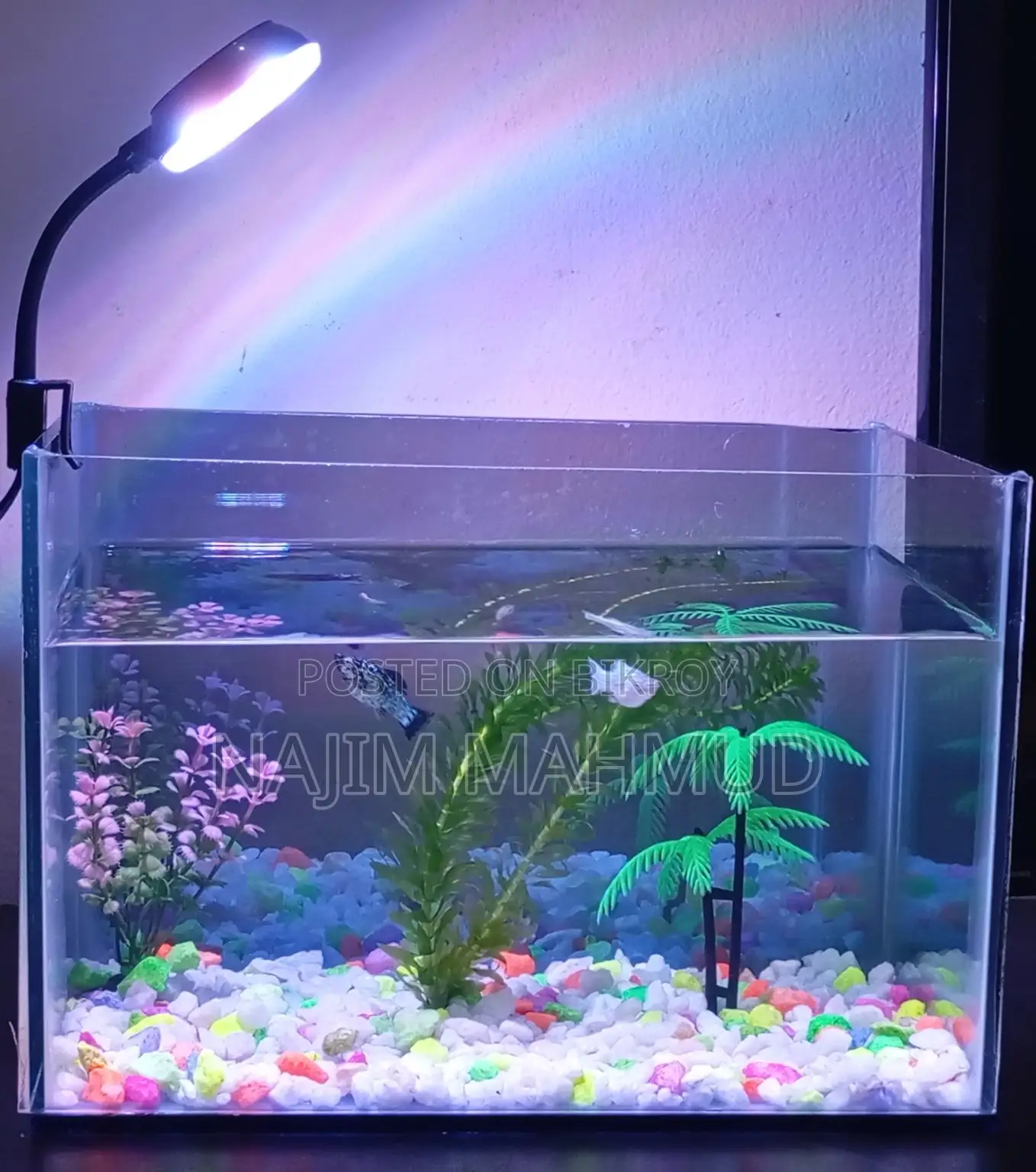 RGB Clip Light