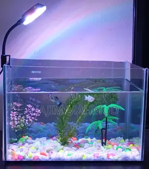 RGB Clip Light