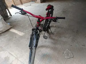 Bicycle for sale