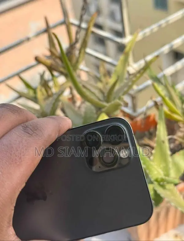 Apple iPhone 12 Pro (Used)