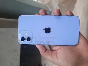 Apple iPhone 12 (Used)