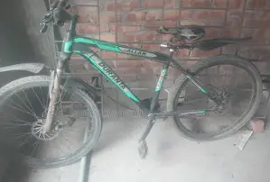 Bicycle Sale