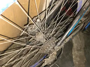 Bicycle for Sale