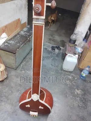 Gents Tanpura