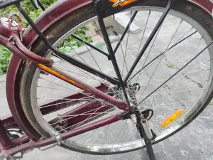 Duranta Bicycle for sale