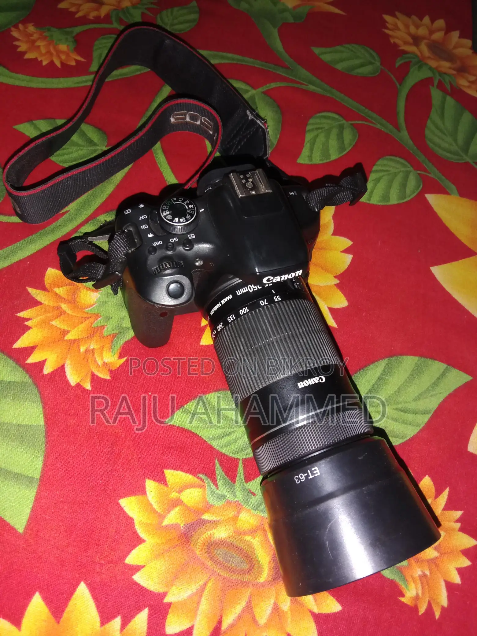 Canon 750D & 55-250 STM zoom lens....