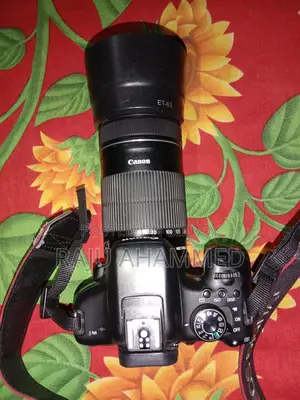 Canon 750D & 55-250 STM zoom lens....
